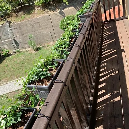 Piedmont Holidays 4*