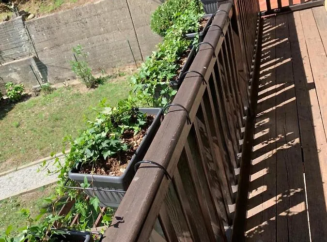 Piedmont Holidays 4*